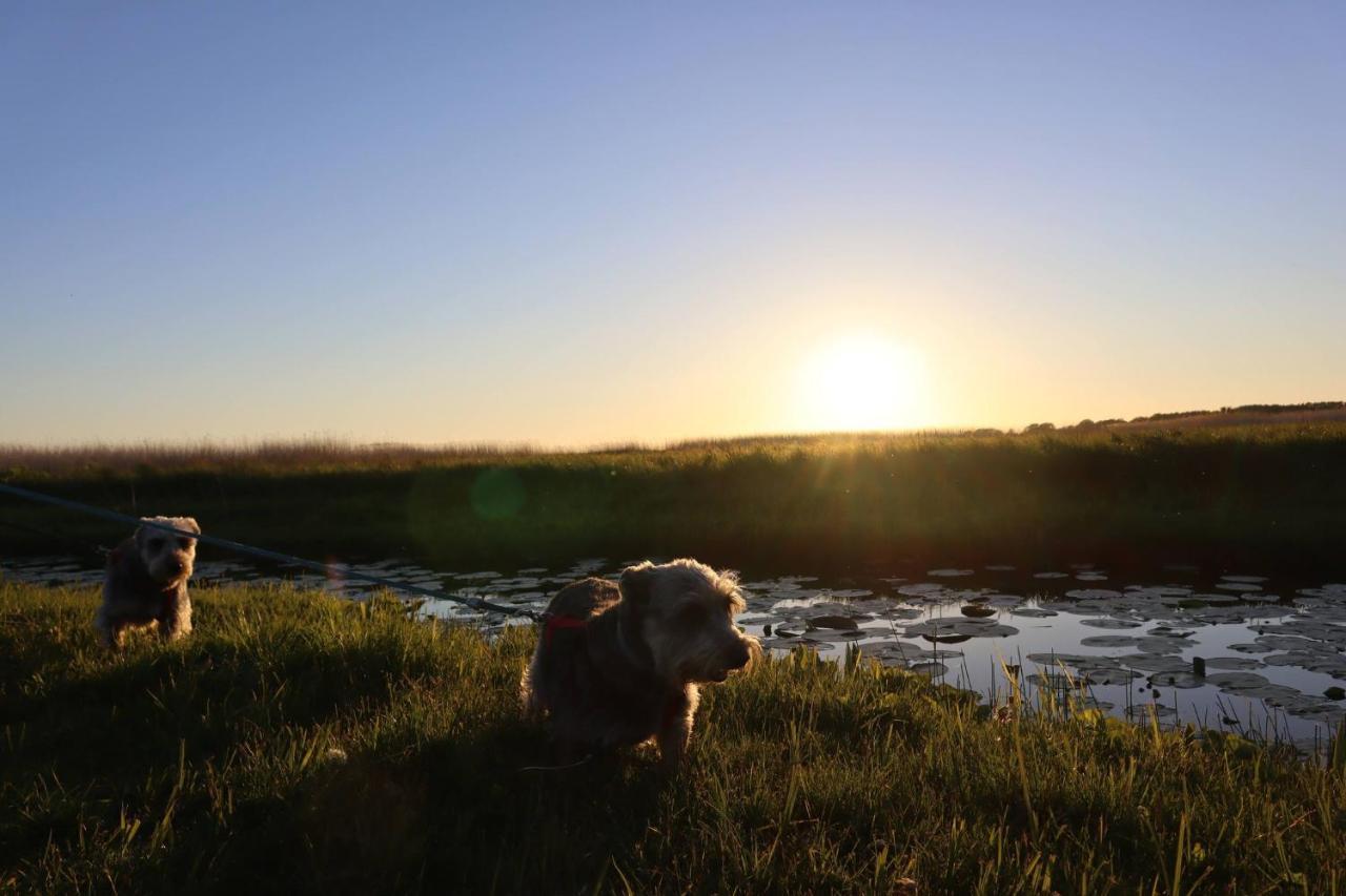 Agroturystyka Gardna Wielka Esterno foto